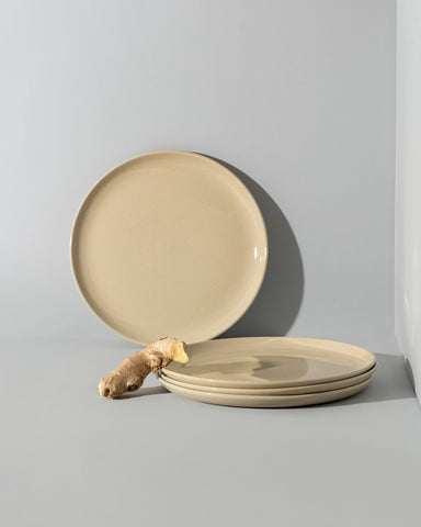 Stoneware Flat Dinner Plate | Edan 11.2"