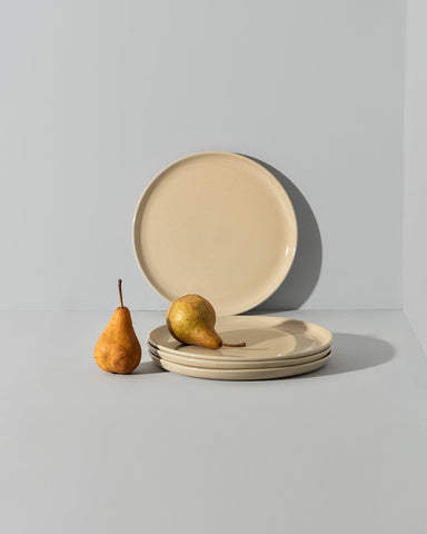 Stoneware Flat Salad/Dinner Plate | Edan 9.4"