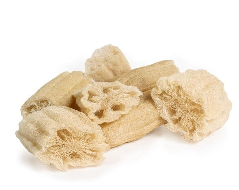 Organic Loofah Scrubber | 100% Natural